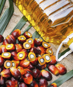 PALM OIL