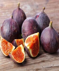 Fig