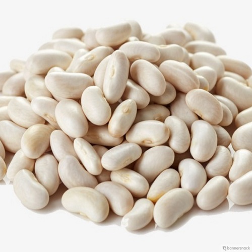 navy-beans.jpg